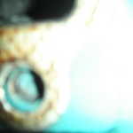 KIF 0773