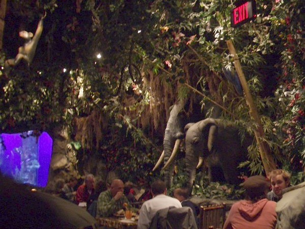 The Rain-forest cafe.
