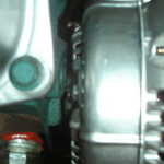 KIF 1117