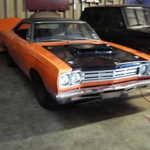 KIF 1293