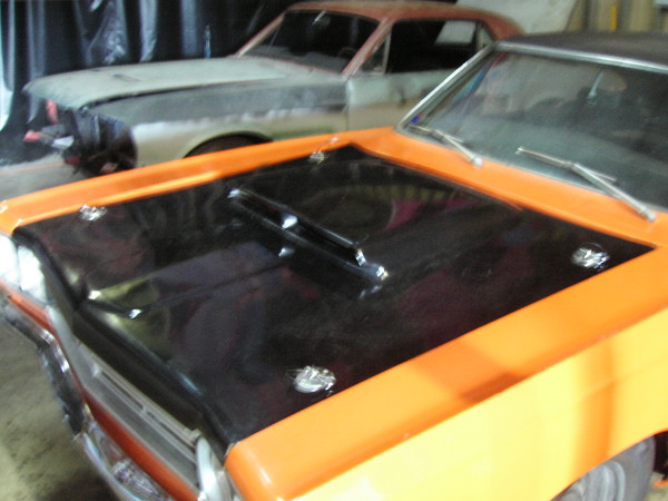KIF 1296