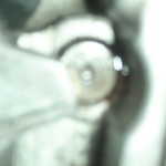 KIF 1153