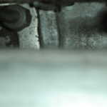 KIF 1343