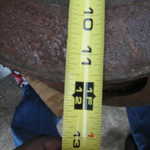 KIF 1377