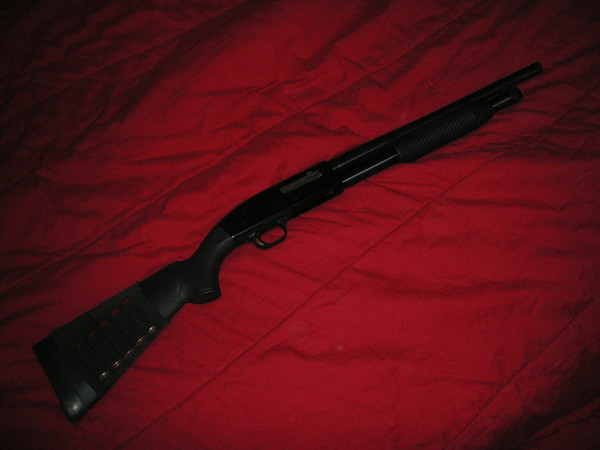KIF 2317