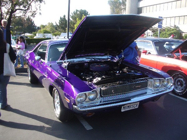 Cesear bring the purple challenger!