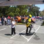 Will SuperBeeman be foiled again by a giant flyswatter?