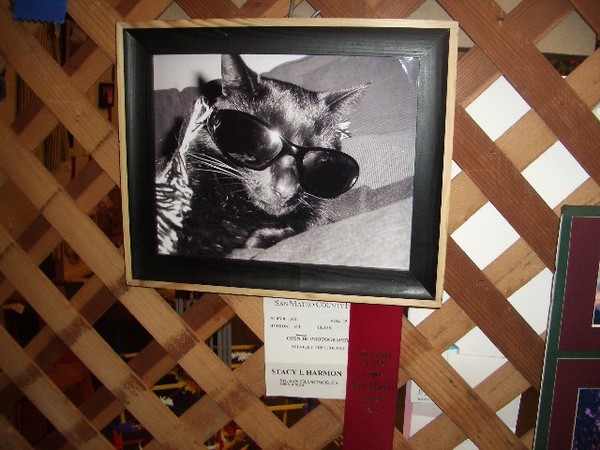 My middle daughter Stacy wins a nice award for her photo at the fair.