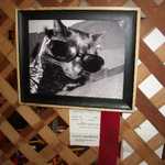 My middle daughter Stacy wins a nice award for her photo at the fair.