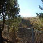 Our backyard goes on for as far as you can climb.