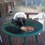 Next thing is some new patio furniture.