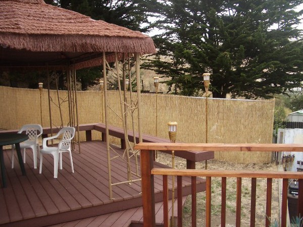 Added some bamboo to the chain link fence today.
