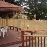 Added some bamboo to the chain link fence today.