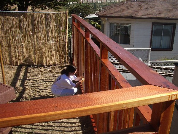Deanna does some staining on the fence.