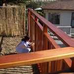 Deanna does some staining on the fence.