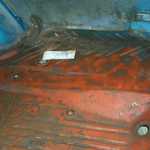 Other side of trunk