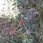 One mean looking spider!!