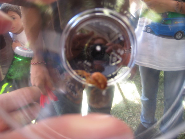 H2H 2007 099