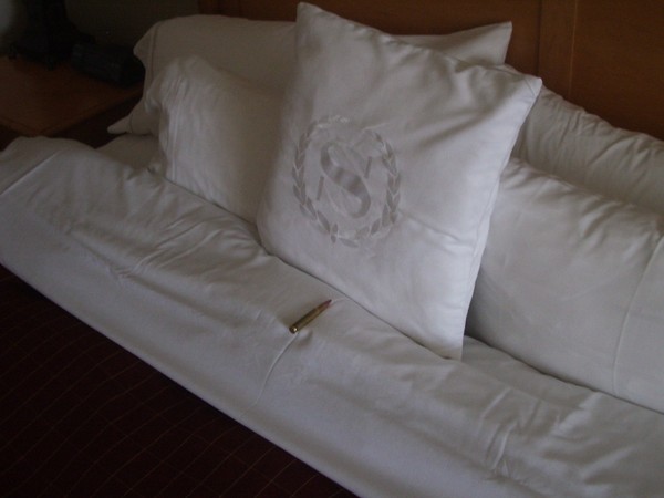 We stay at the nicest places. No mints on the bed just bullets.