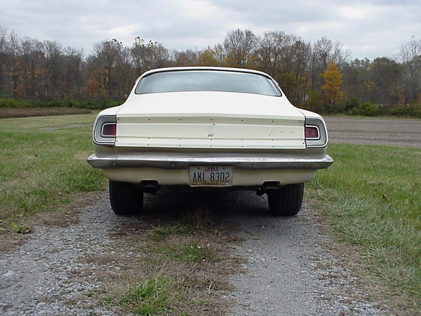 Dude_Rear