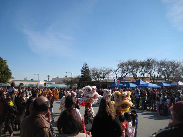 Chinese New Year parade 2008 065
