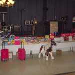 Lot's of great raffle prizes tonight!