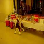 Father  Daughter dance 2008 015