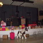 Father  Daughter dance 2008 036