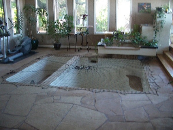 Having a swimming pool in your front room is all the rage now.