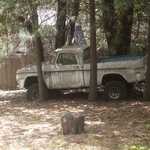One poor old lost Dodge slowly wastes away.