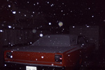 02-Photo 2.jpg