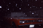 03-Photo 3.jpg