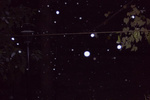 04-Photo 4.jpg