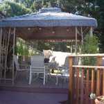 Let's see how the Tiki Hut is doing on a beautiful Spring day!