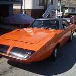 Superbird at Stus 004