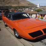Superbird at Stus 005