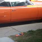 Superbird at Stus 013