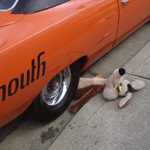 Superbird at Stus 019