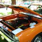DSCN0267