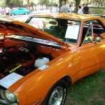 DSCN0269