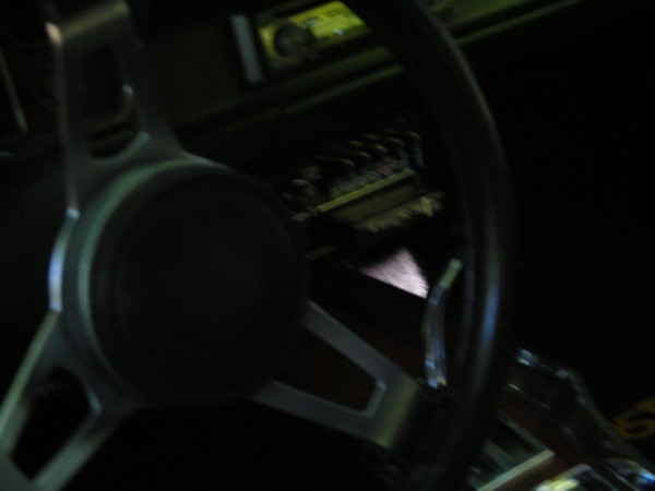 DSCN0298