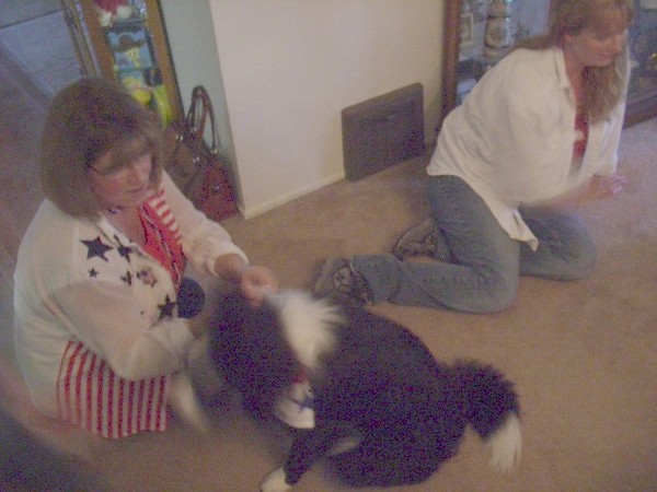 Cindy's 4th party 026