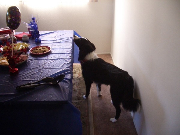 Cindy's 4th party 027