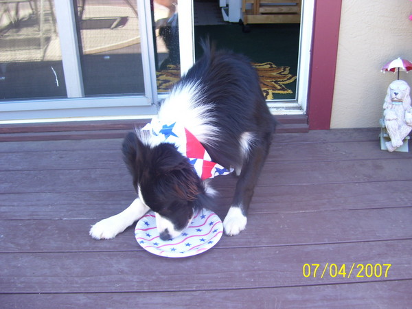 Picture 004