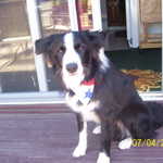 Picture 003