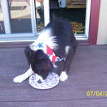 Picture 004