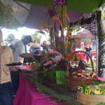 Picture 010