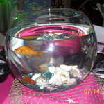 Picture 013
