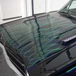 My roadrunner comes home. 011