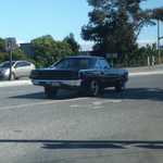 My roadrunner comes home. 016